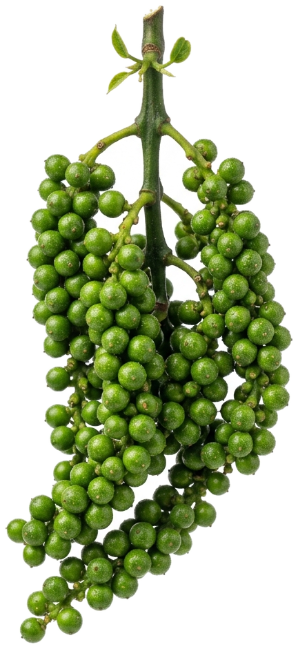 Nguồn